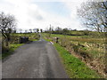 Bridge along Longhill Road