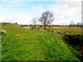 Shanmullagh Townland