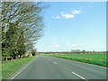 Thetford Road next to Home Covert on the right