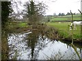 Weir and sluice gate by River Coly