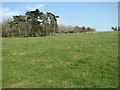 Euston Park