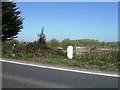 A31, milestone