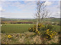 Eskeradooey Townland