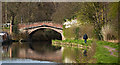 Canal bridge at Oughtrington