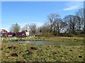 Pond, New Development, Haywards Heath