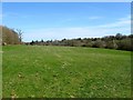 Paiges Barn Field