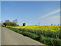 Grain silos and oilseed rape in flower