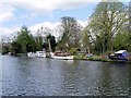 River Thames, Sumptermead Ait