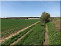 Footpath to Elsenham