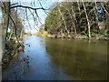 River left beside France Island