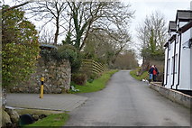 SH5279 : Lane at Talgwyn by N Chadwick