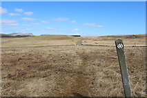 NX6386 : Southern Upland Way by Billy McCrorie