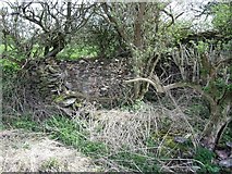 SK4519 : Ruined farm building in the bed of the Charnwood Forest Canal by Ian Calderwood