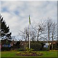 Daffodils below the flagpole