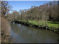 River Tamar at Greystone Bridge