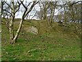 Exposed rock in Yellow Hill Wood