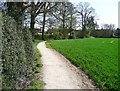 Footpath to Wain Wood, Preston