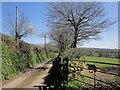 Tamar Valley Discovery Trail near Roundhill Cottages