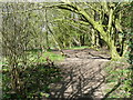 Public footpath around the western side of Wain Wood, Preston