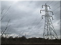 TL3705 : Giant pylons, Lee Valley by Peter S