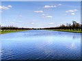 TQ1668 : Hampton Court, The Long Water Canal by David Dixon