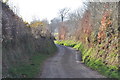 West Somerset : Thorne Lane