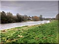 SD5930 : Ribble River Bank at Brockholes by David Dixon