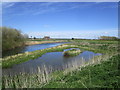 Pond by the Kyme Eau