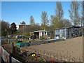 Garscube Allotments