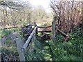 Llwybr Bryn Pedr Path