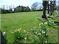 The green at Sevenoaks Weald