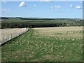 NU1605 : Farmland near Newton on the Moor by JThomas