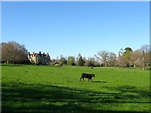 TQ3228 : Rye Croft Meadow by Simon Carey