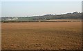 Farmland near Porthcawl (2)