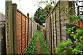 Footpath by Station Road, Cheddleton