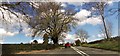 Entrance to The Chestnuts from A495