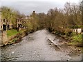 River Aire, Bingley