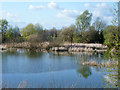 Fishing lake, Doggetts Farm