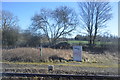 Waste ground by the railway line