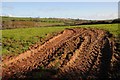 Farmland above the Yeo valley