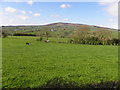 Altoghal Townland