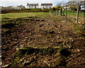 Up a rough track to Clydach Road, Ynysybwl