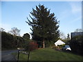 Garden on the corner of Hook Hill Park, Mayford