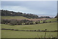 Nodwydd Valley