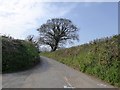 Road to Ermington from Ridge Road