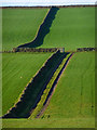 Farmland, Kirkoswald