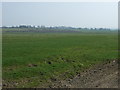 NZ1582 : Farmland, West Edington by JThomas