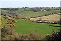 Inny valley below St Clether