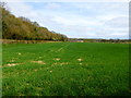 Looking north from footpath to dwelling on Hatchet Lane