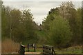 View of the rear of houses on Devereux Close through the trees from the London Wetlands Centre